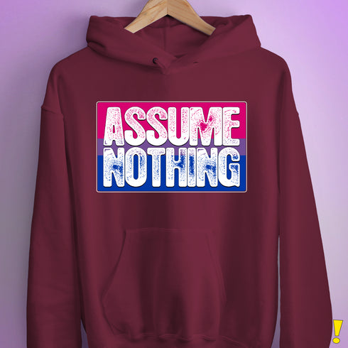 Assume Nothing Bisexual Pride Flag Hoodie - Maroon